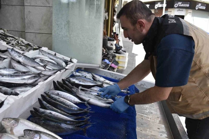 Bayburt’ta balık satışı yapılan yerlerde denetim yapıldı
