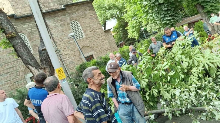 Bursa'da bayram alışverişi yapanların üzerine ağaç devrildi