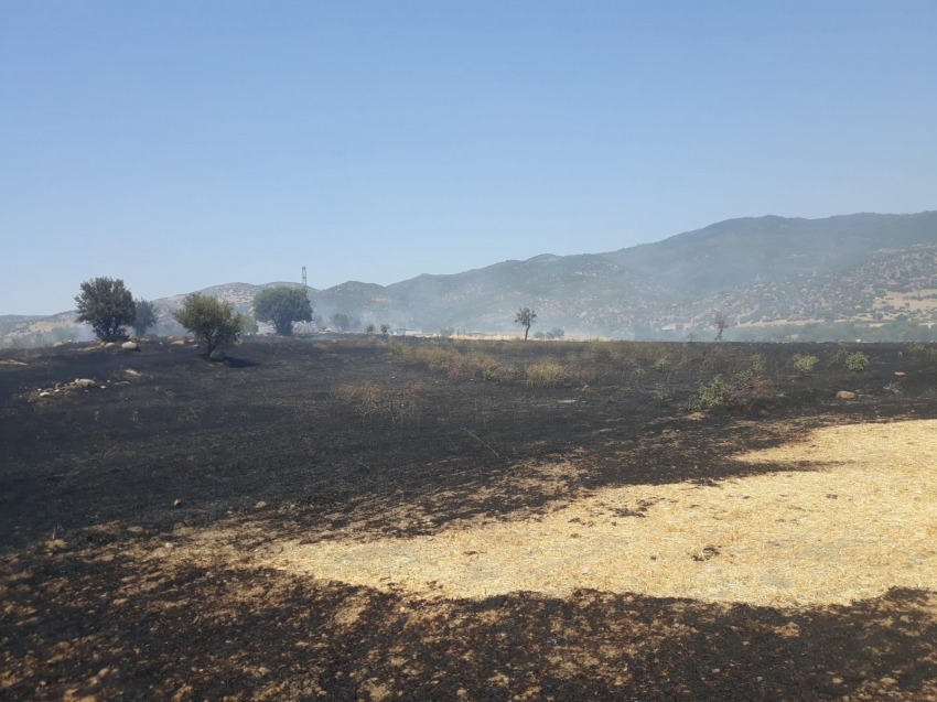 Çine’de onlarca dönüm ekili arazi alevlere teslim oldu