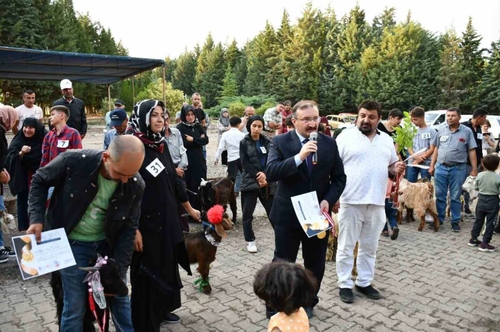 Belediye Başkanı Doğan: "Dağıttığımız oğlak sayısı bin 300’e ulaştı"
