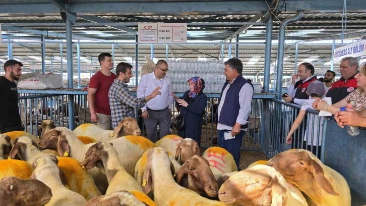 Belgesiz kurbanlıkların kente girişine izin verilmiyor
