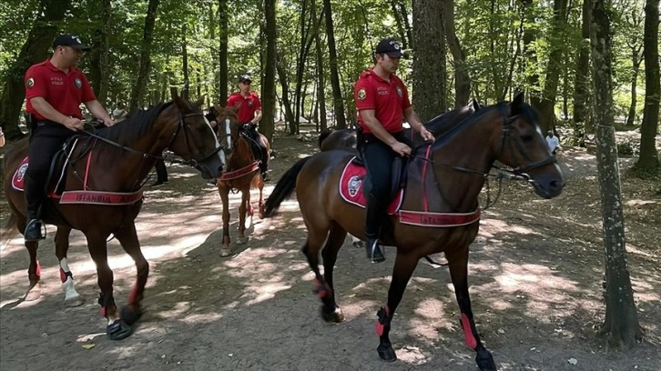 Belgrad Ormanı'nda yangınlara karşı polis denetimi