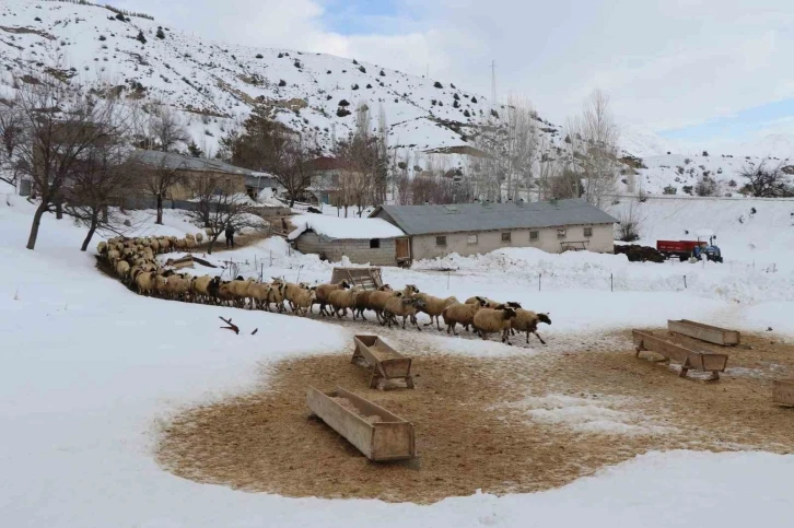 Besicilerin kış mesaisi başladı
