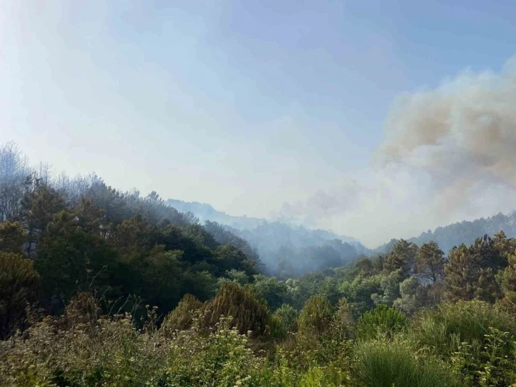 Beykoz’da iki farklı yerde orman yangını
