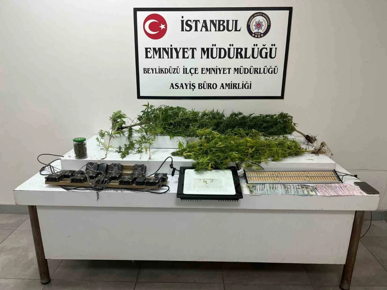 Beylikdüzü’nde uyuşturucu serasına çevrilen eve baskın: 1 gözaltı
