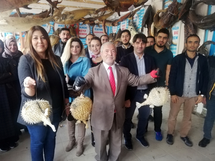 Öğretmenlere, Balon balığı tehlikesine karşı eğitim