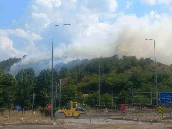 Bilecik’te çıkan otluk yangını kontrol altına alındı
