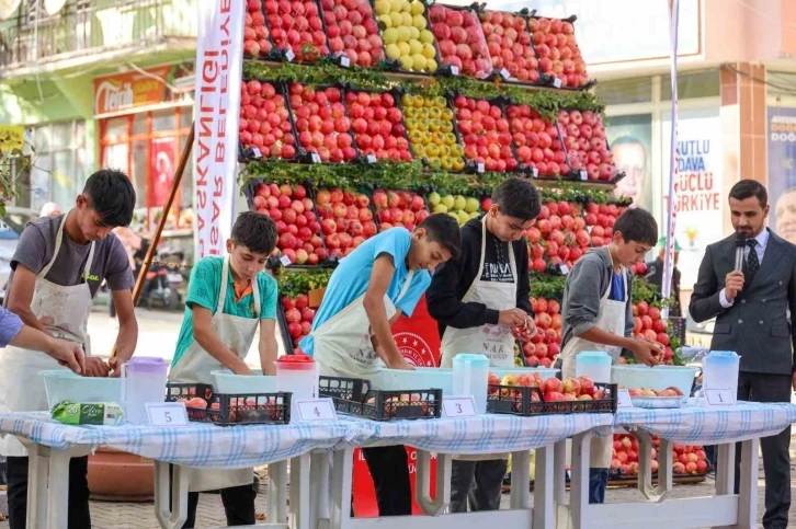 Bilecik’te nar hasadı
