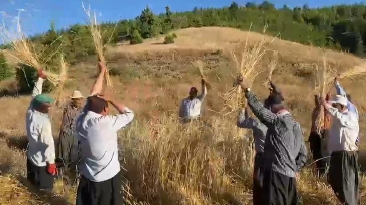 Bin rakımda bereket dualı geleneksel hasat
