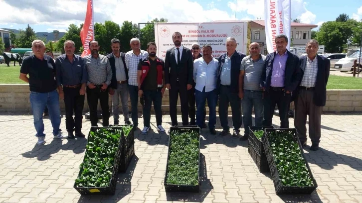 Bingöl’de çiftçiye 390 bin fide dağıtıldı
