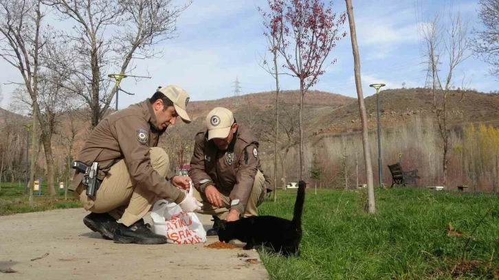 Bingöl’de HAYDİ ekipleri can dostları unutmuyor
