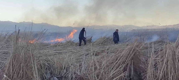 Yüksekova'da kuş türlerinin yaşadığı Nehil Sazlığı’nda yangın