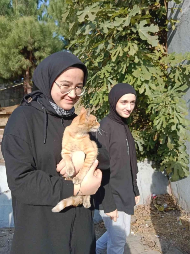 Biriktirdikleri harçlıklarıyla sokak hayvanlarına mama aldılar
