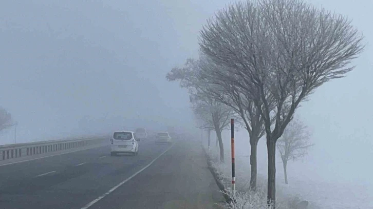 Bitlis’te ağaçlar kırağı tuttu
