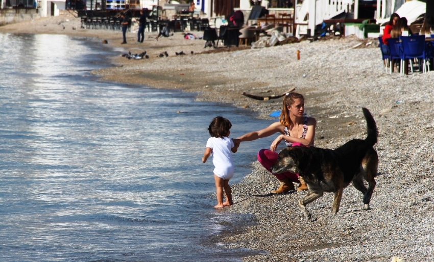 Bu görüntüler Bodrum'dan!