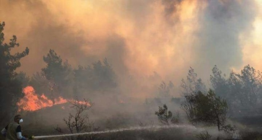 Bolu’da orman yangını!