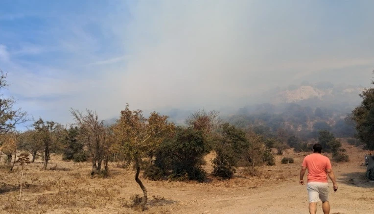 Bodrum’da ağaçlık alanda yangın çıktı
