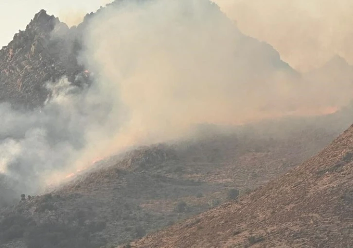 Bodrum Akyarlar'da makilik alanda  yangın çıktı