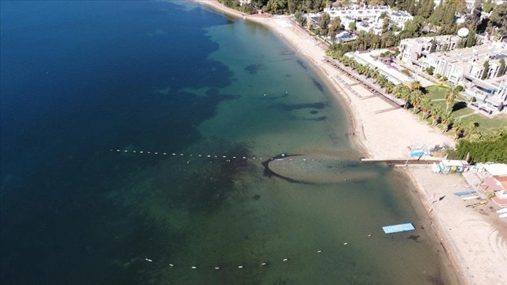 Bodrum'da yağış sonrası denizin rengi değişti, sahilde de kirlilik oluştu