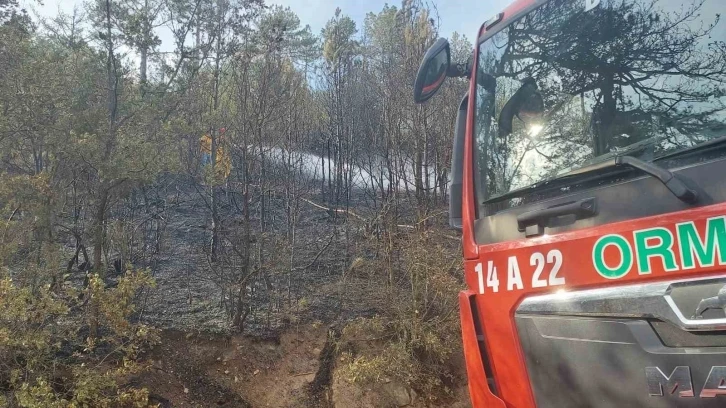 Bolu’da orman yangını kontrol altına alındı
