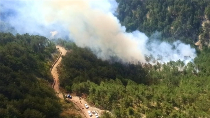 Bolu'da çıkan orman yangınına müdahale ediliyor