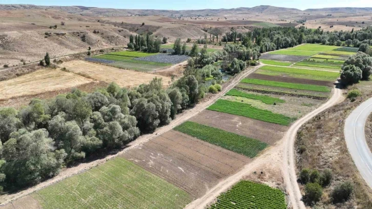 Bozkırı ektiği sebzelerle yeşertti
