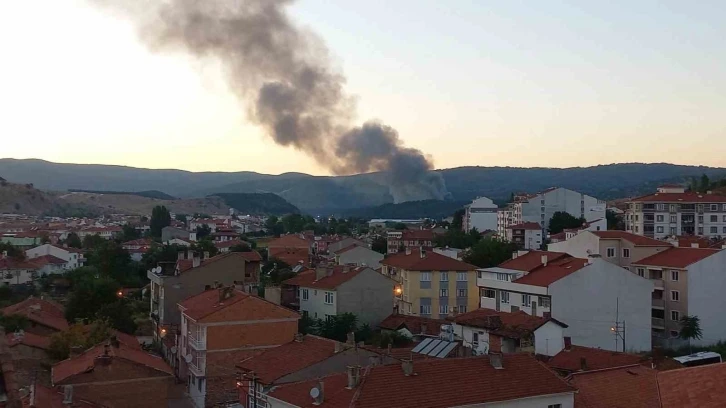 Bozüyük’te çöplük alanda yangın çıktı
