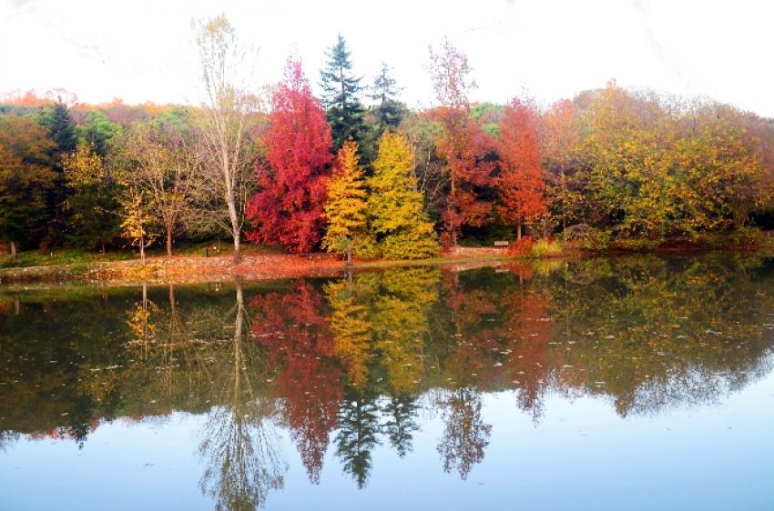 İstanbul’da sonbahar