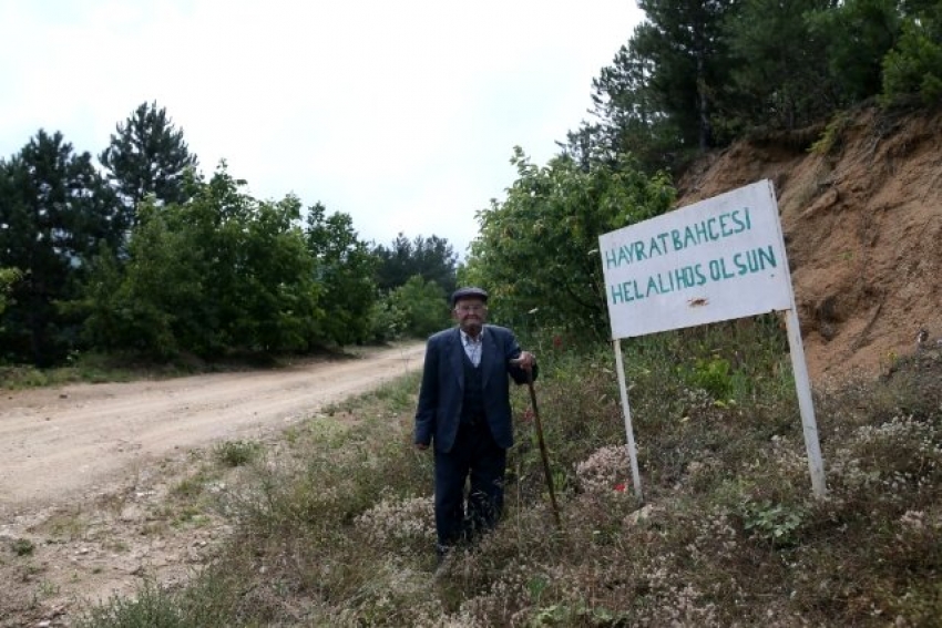 Bursa'da ücretsiz meyve ve sebze