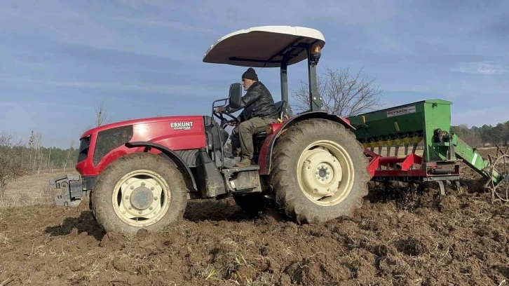 Buğdayların atası 12 bin yıllık siyez, toprakla buluştu
