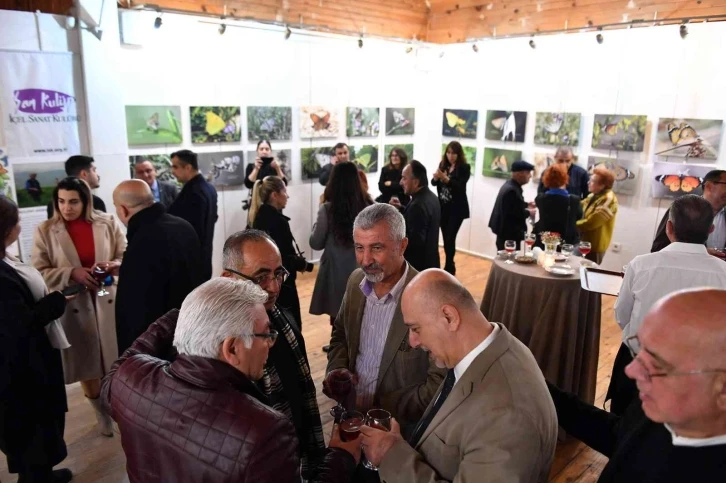 Bülent Akbaş’ın ’Mersin Kelebekleri’ fotoğraf sergisi açıldı
