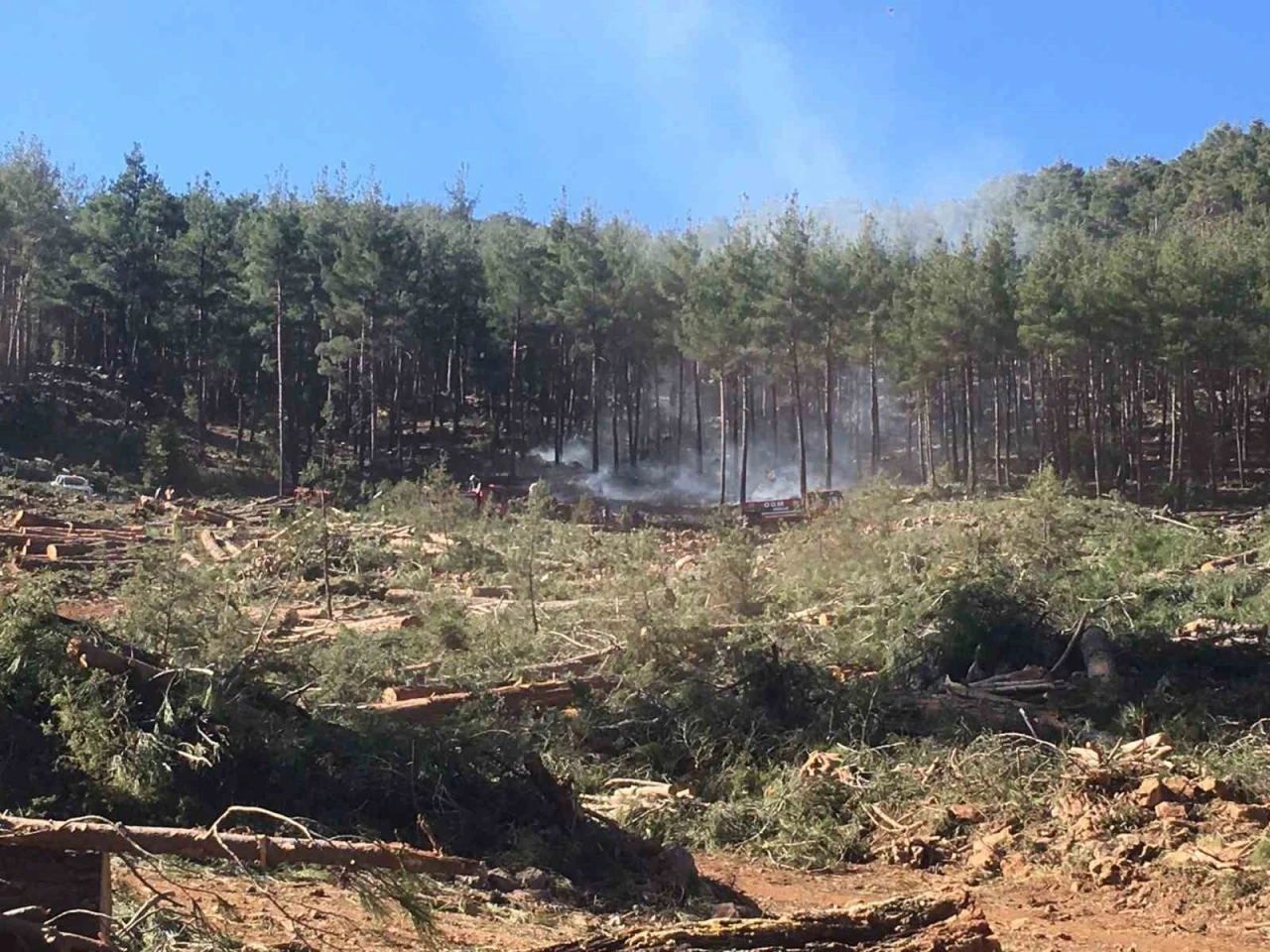 Burdur’da kesim sahasındaki orman yangınında 3 dönümlük alan yandı
