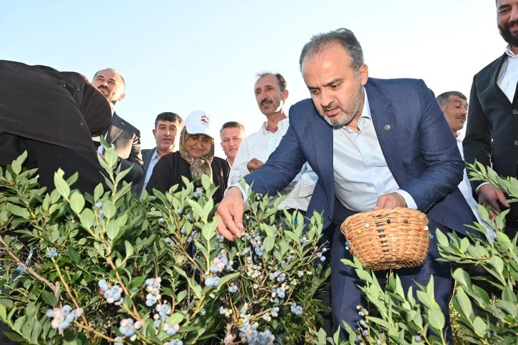 Bursa Büyükşehir'den çiftçilere büyük destek