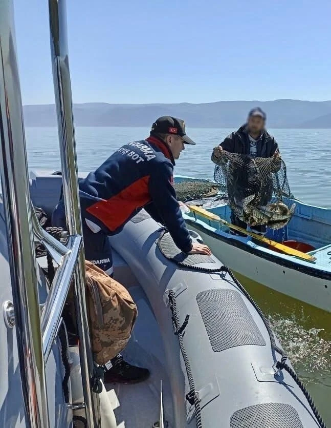 Bursa’da jandarmadan kaçak av operasyonu
