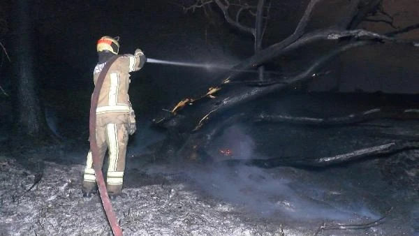 Bursa'da tarlalık alanda 12 saat arayla ikinci yangın 