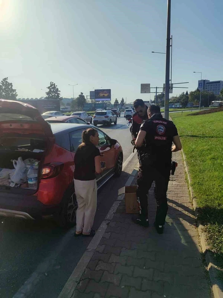 Bursa’da trafikte yavru kedi alarmı..