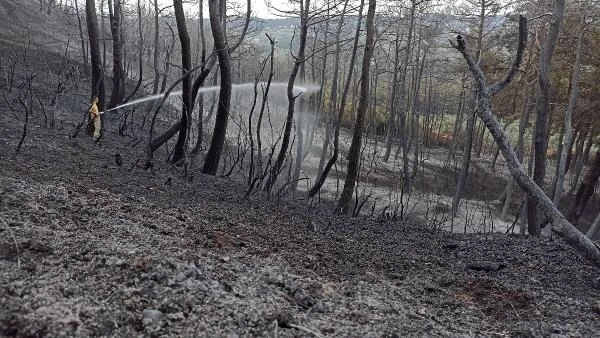 Bursa'daki orman yangını, 17 saat sonra kontrol altında