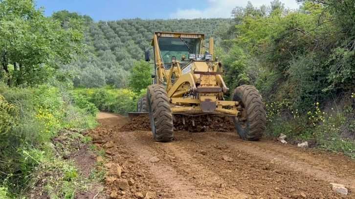 Bursa Gemlik'te çiftçileri sevindiren çalışma 