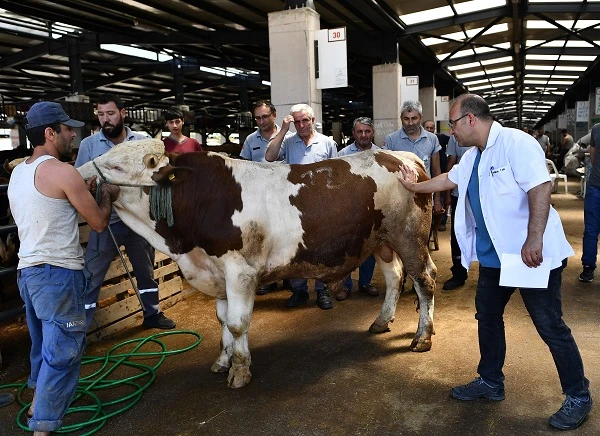 Bursa Osmangazi'de kurban kesim yerleri belirlendi 