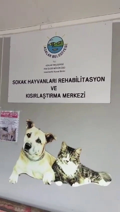 Büyükada Rehabilitasyon Merkezi’nde ’hayvanlara bakılmıyor’ iddiası
