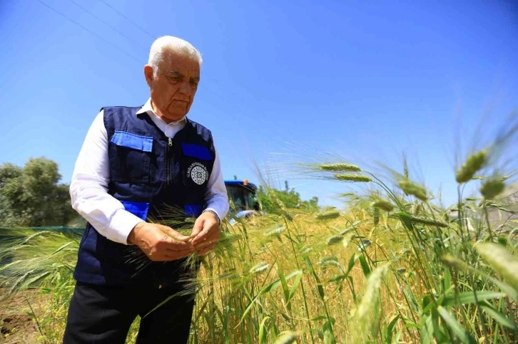 Büyükşehir’den tarım ve hayvancılığa destek
