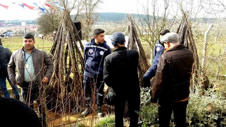 Büyükşehir üreticilere meyve fidanı dağıtımına başladı
