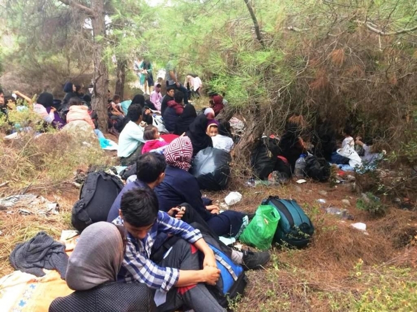 Ayvalık’ta 48 göçmen ve 3 organizatör yakalandı