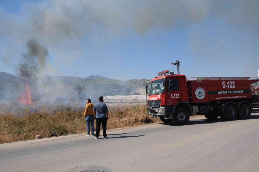 Otluk alanda çıkan yangın portakal ağaçları ve arı kovanlarını yaktı