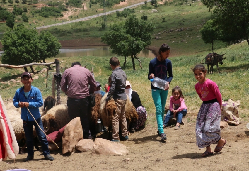 Dağlar teröristlerden temizlendi, yaylalara huzur geldi