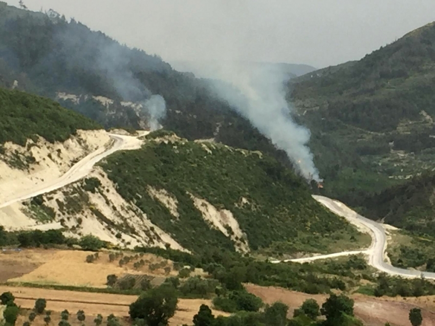 Yayladağı’nda sınırın sıfır noktasında orman yangını