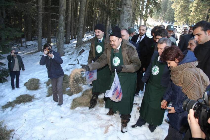 Bakan’dan ’Hayvanları Koruma Günü’ mesajı