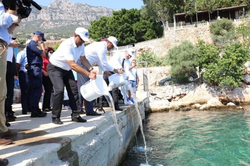 15 bin yavru balık denize salındı