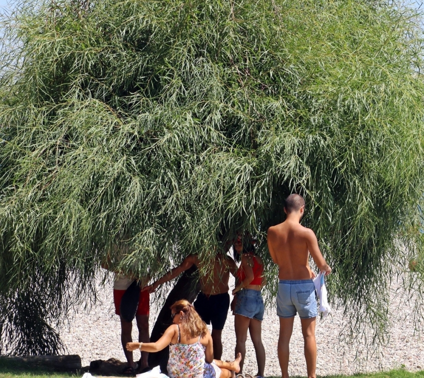 Doğu’da hava sıcaklığı artıyor