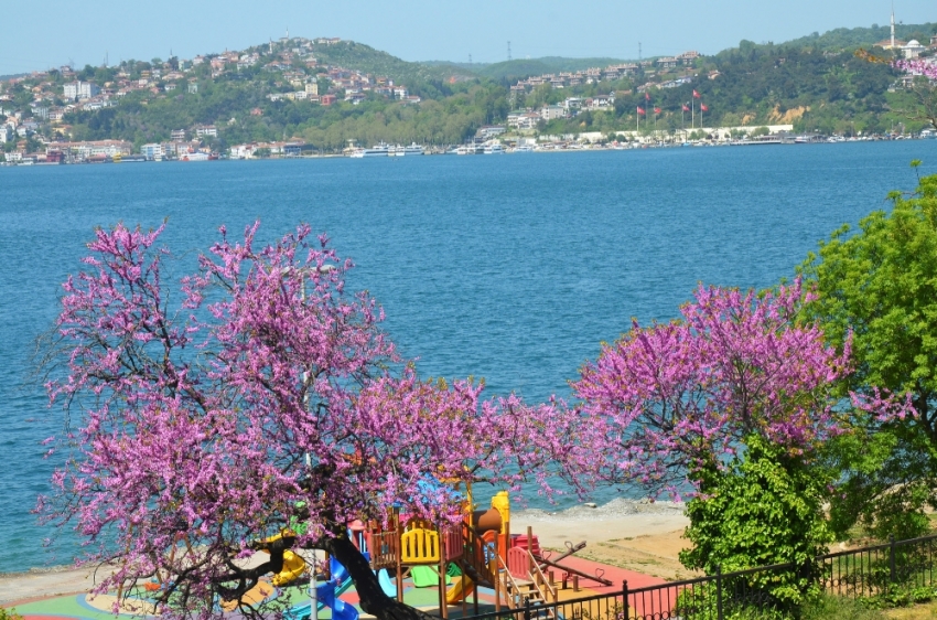 İstanbul Boğazı mora büründü